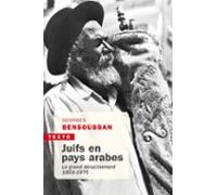 Juifs En Pays Arabes (ebook)