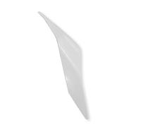 JUJIKCLPF Kits de carenado para motocicletas Para Yamaha MT-10 FZ-10 2016-2021 Accesorios De Motocicleta Fibra Carbono Cubierta Lateral Trasera Panel Carenado(Unpainted-Right Side)