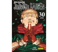 JUJUTSU KAISEN 30
