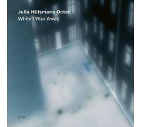 Julia Hulsmann - While I Was Away