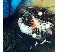 Julia Reidy - In Real Life [Vinilo]