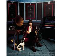 Julian Casablancas Phrazes For The Young (Vinyl) (Importación USA)