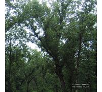 Julianna Barwick The Magic Place (2024 Remastered) (Vinyl) 12" Album