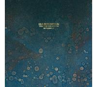 Julie Beth Napolin - Only The Void Stands Between Us [VINYL] [Vinilo]