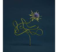 Julien Belliard - Le Mirage de Zo