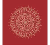 Julie's Haircut - Karlsruhe, Fountain (Mix) [Vinilo]