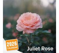 Juliet Rose Calendar 2026: A Year of Romance and Beauty with Timeless Roses