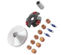 Julihai Racing Performance Kit de Variador de Motocicleta de 15 Piezas para 150-232 GY6, Kit de Reemplazo de Variador de Carreras de Aleación de Acero de Alta Calidad para Restauración y