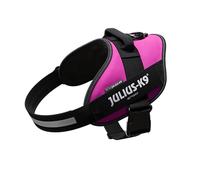 JULIUS-K9 16IDC Power Harness