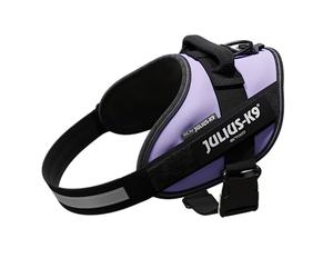 JULIUS-K9 16IDC Power Harness