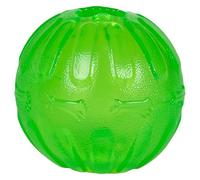 Julius-K9 59800 Treat Dispensing Chew Ball - L, 10 Cm, L, Multicolor (TCEFBL)