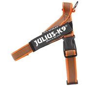 Julius-K9 Arnés De Correa, Naranja-Gris, XL / 2