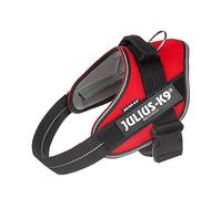 Julius-K9, Arnés IDC Powair, Tamaño: M / 0, Rojo