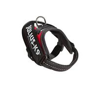 Arnés Julius K9 Francia para perros color Azul, rojo y blanco