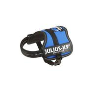 Julius-K9, Arnés K9 Power, Tamaño: Baby 1, Colore: azul