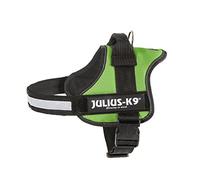 Julius-K9, Arnés K9 Power, Tamaño: 3, Colore: verde kiwi