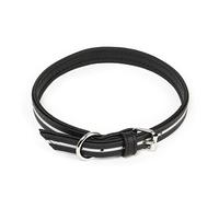 Julius-K9 IDC Lumino fosforescente collar para perros