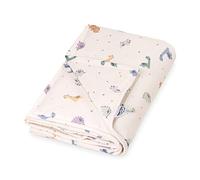 Julius Zöllner LittleDinos - Manta de Punto con Forro de Jersey de algodón, tamaño 70 x 100 cm, Fabricado en Alemania, con Certificado Öko-Tex Standard 100