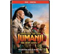 Jumanji: The Next Level [USA] [DVD]