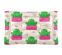 JUMBEAR Alfombrilla de cama para mascotas con diseño de cactus en maceta, parte inferior antideslizante, colchón para gatos y perros, camas suaves y cómodas para gatos y perros que duermen 24 x 18