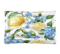 JUMBEAR Blue Forget Me Nots and Lemons - Cama para mascotas, colchón antideslizante para perros y gatos, cama suave y cómoda para gatos y perros que duermen de 36 x 24 pulgadas