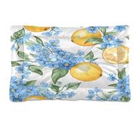 JUMBEAR Blue Forget Me Nots and Lemons - Cama para mascotas, colchón antideslizante para perros y gatos, cama suave y cómoda para gatos y perros que duermen 24 x 18 pulgadas