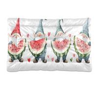 JUMBEAR Bonita cama para mascotas con gnomos de acuarela con fruta, colchón antideslizante para perros, gatos y perros, camas suaves y cómodas para gatos y perros que duermen 24 x 18 pulgadas