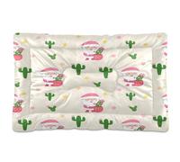 JUMBEAR Lindas alfombrillas de cama para mascotas con diseño de Papá Noel, parte inferior antideslizante, colchón para gatos y perros, camas suaves y cómodas para gatos y perros que duermen 24 x 18