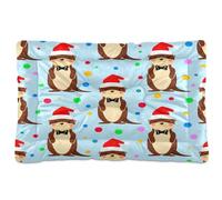 JUMBEAR Lindas alfombrillas de cama para mascotas de hámster, colchón antideslizante para jaula de perro, tapete para gatos y perros, camas suaves y cómodas para gatos y perros que duermen de 36 x 24