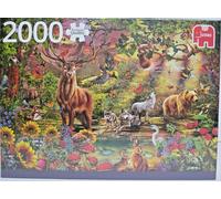 Jumbo 18868 Puzzle 2000 piezas Bosque mágico / Bosque mágico al atardecer