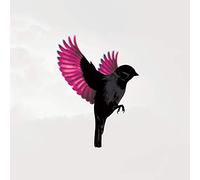 Jump Little Children - Sparrow