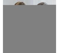 Jumping Pirates Bucket - Dinosaur Shape Pirate Barrel Money Bank Function Board Game | Surprise Pirates Bucket Interactive Game For Birthday Easter Christmas, Fun Family Games For Kids Teens Adults Pa