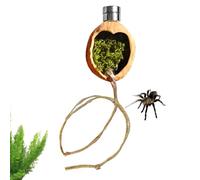 Jumping Spider Accessories - ABS, Magnetic Reptil Jumping Spider Hiding Place | Magnetic Walnut Habitat Cage for Spiders Cage Decor and Reptil Enrichment Toy