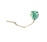 Jumping Spider Accessories - Realistic Climbing Decor Toys, Enclosure Habitat Play Accessories for Jumping Spiders, Resting and Exploration Setup for Home Office Study Display