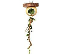 Jumping Spider Climbing,Praying Mantis Cage Decor - Praying Mantis Enclosure Decor | for Keepers Breeders Pet Parents Animal Lovers Educators School Project Shops Home Office Living Room