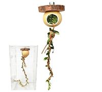 Jumping Spider Climbing Rope - Praying Mantis Enclosure Decor for Terrarium Setup | Flexible Natural with Fiber Habitat Accessory, Climbing Enrichment Line for Keepers Breeders Education Displa
