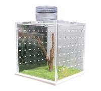 Jumping Spider Cube | Tanque de Tortuga Transparente | Tanque de recinto de Reptil pequeño, Caja de reproducción de alimentación con humidificador Ligero para la araña de Salto de Anfibios
