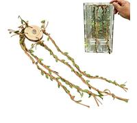 Jumping Spider - Enclosure Accessories Reptile | Climbing Vines Decor Set Flexible Habitat Jungle Branch Toys Natural Terrarium for Snakes, Gecko, Chameleon, Mantis, Frog or Bearded Dragon