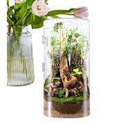 Jumping Spider Enclosure, Arboreal Reptile Acrylic Tank, 12.01x5.91in Impermeable Reptil Habitat, Front Opening Door for Tarantulas, Frogs, Praying Mantis, Snails