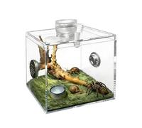 Jumping Spider - Enclosure Clear Acrylic Breeding Habitat | Ventilated Terrarium Compact Pet Display Box Secure for Praying Mantis, Snail, Small Animal or Living Room