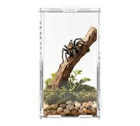 Jumping Spider Enclosure, Clear Acrylic Terrarium Box, Magnetic Door Reptile Habitat 7 Inch Ventilated Tank for Mantis Gecko Frog Snake Use, Secure Viewing Habitat, Easy Access Pet Enclosure