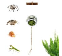 Jumping Spider Enclosure Decor - Habitat Supplies Climbing,Tarantula Enclosure Accessories - Terrarium Reptiles Bearded Dragons Snakes Turtles Tortoises Frogs Hermit Crabs