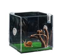 Jumping Spider Enclosure - Glass Clear Mini Terrarium, Reptile Habitat, Small Pet Viewing Box | Durable Transparent Container, Safe Environment For Snails Lizards Beetles Turtles
