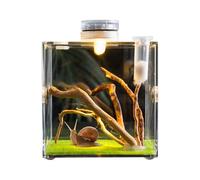Jumping Spider Enclosure - Glass Clear Mini Terrarium, Reptile Habitat, Small Pet Viewing Box | Durable Transparent Container, Safe Environment For Snails Lizards Beetles Turtles