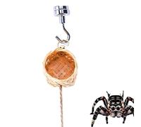 Jumping Spider Enclosure - Handmade Magnetic Spider Habitat with Thin Rope, Decorative Small Pets House Shelter, Naturalistic Design Easy Install Remove, For Home Garden Reptile Terrarium