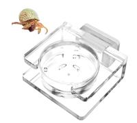 Jumping Spider Feeding Dish | Magnetic Food Dish | Transparent Acrylic Bowl | Spider Feeding Accessory | Tarantula Feeding Bowl Magnetic Design Acrylic For Crested Gecko Lizard Chameleon Pets