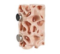 Jumping Spider Habitat - 8 Inch Vertical Climbing Home | Magnetic 3D-Printed Accessory - Secure Reptile Enclosure Decoration with Magnetic Hīde for Jumping Spiders, Geckos and Small Amphibians