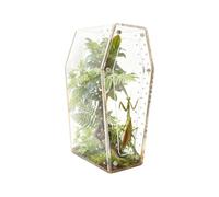 Jumping Spider Habitat - Acrylic 7.87 Inch Clear Tree Frog Cage, Magnetic Arboreal Tarantula Enclosure | Small Reptile Breeding Box For Snails Mantis Classroom School Project Hobbyists