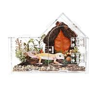 Jumping Spider Habitat - Transparent Reptile Tank, Ventilation Tarantula Habitat | For Home Office Living Room Travel Gecko Tarantula Frog Scorpion Mantise Spider