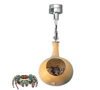 Jumping Spider Hide - de araña de calificación Natural con Montaje magnético | Pet Spiderr para pequeños Reptiles y spoods | Spiderr House - Hábitat naturalista para entusiastas y aficion